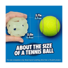 Chuckit! Dog Toy - Air Glow - Fetch Ball