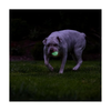 Chuckit! Dog Toy - Air Glow - Fetch Ball