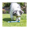Chuckit! Dog Toy - Sniff Fetch Stick Bacon
