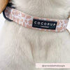 Cocopup London - Nude Cow - Collar