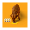 Frozzys Happy Gut - Yogurt Squeeze for Dogs - Joint Care
