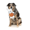 Fuzzyard Plush Dog Toy - Choc Belly Bunny
