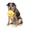 Fuzzyard Plush Dog Toy - Hen-Rietta