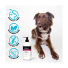 Groom Professional Almond Detangle Shampoo NEW