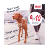 Halti Train - No Pull Harness