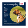 Halti Train - Optifit Headcollar