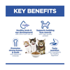 Hill's Science Plan - Kitten - Salmon