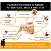 Holistic Hound - Dog Eared Drops - Natural Ear Cleaner