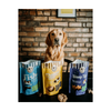 Laughing Dog - Treats - Wheat Free -  Cheesy Bites