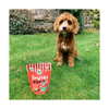 Laughing Dog - Treats - Wheat Free -  Fruity Paws