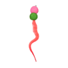 Magic Wand  - Scaredy Cat - Dangler without Rod