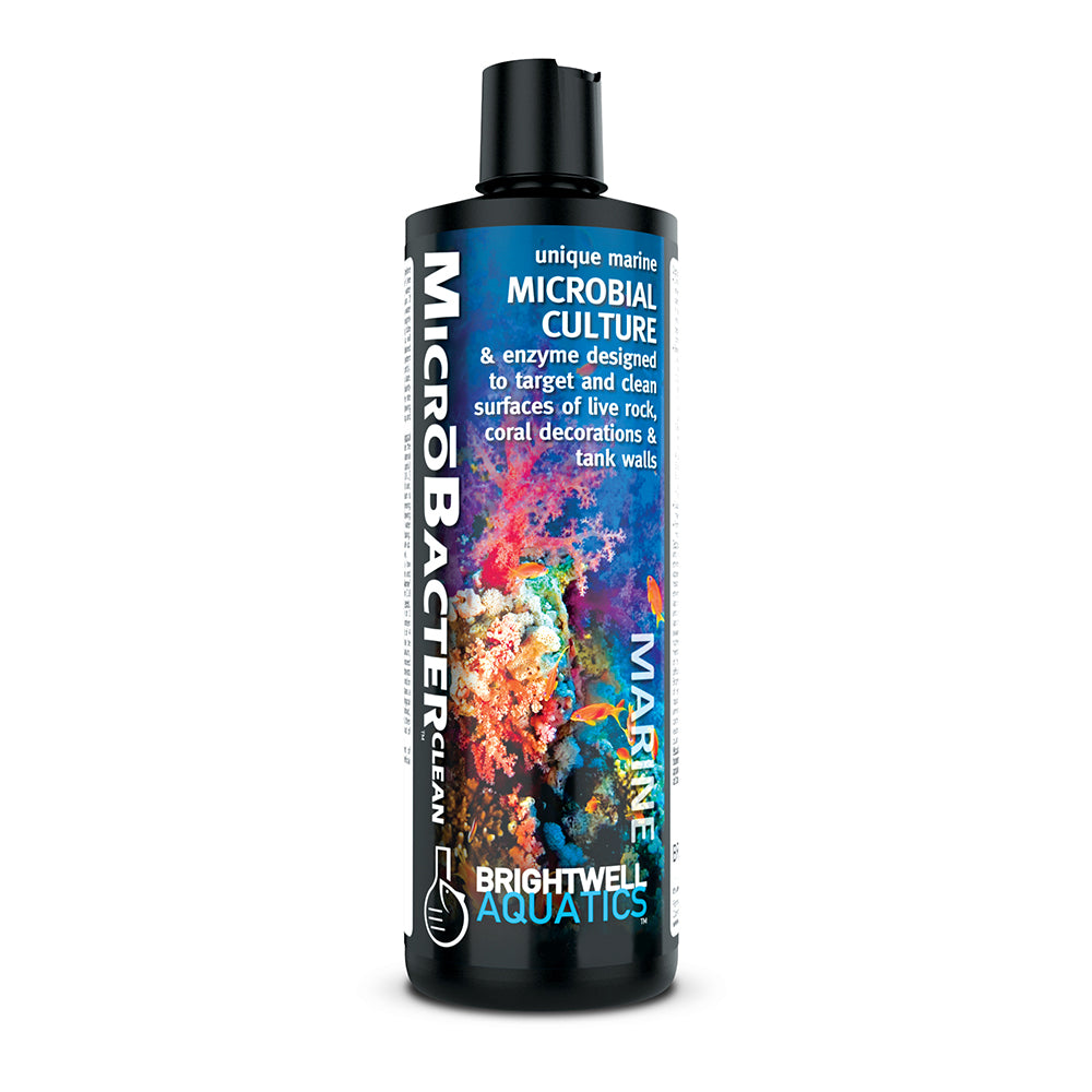 Brightwell Aquatics- MicroBacter Clean - Petstop