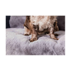 Pet Rebellion - Sofa Cover -  Comfy Grey