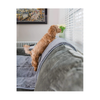 Pet Rebellion - Sofa Cover -  Comfy Grey