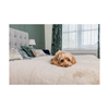Pet Rebellion - Sofa Cover -  Comfy - Stone