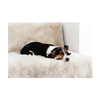 Pet Rebellion - Sofa Cover -  Comfy - Stone