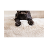 Pet Rebellion - Sofa Cover -  Comfy - Stone