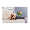Pet Rebellion - Sofa Cover -  Comfy - Stone