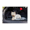 Pet Rebellion - Car Boot Mate - Black