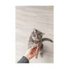 Trixie Cat Treat - Stick Quintett - 5 pack