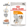 Royal Canin Dog Pouch - Coat Care
