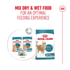 Royal Canin Cat Pouch - Ageing 11+ in Jelly