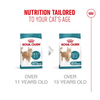 Royal Canin Senior Cat Ageing Sterilised 11+
