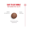 Royal Canin Senior Cat Ageing 11+