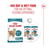 Royal Canin Senior Cat Ageing 11+