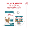 Royal Canin Senior Cat Ageing Sterilised 11+