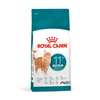 Royal Canin Senior Cat Ageing Sterilised 11+