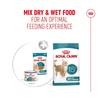 Royal Canin Cat Pouch - Ageing 15+ in Gravy