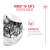 Royal Canin Cat Pouch - Ageing 15+ in Gravy