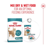 Royal Canin Senior Cat Ageing 15+