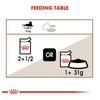 Royal Canin Cat Pouch - Ageing 12+ in Jelly