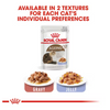 Royal Canin Cat Pouch - Ageing 12+ in Jelly