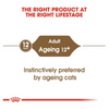 Royal Canin Cat Pouch - Ageing 12+ in Jelly
