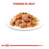 Royal Canin Cat Pouch - Ageing 12+ in Jelly