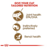 Royal Canin Cat Pouch - Ageing 12+ in Jelly