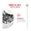 Royal Canin Cat Tin - Ageing 15+ Ultra Soft Mousse