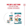 Royal Canin Cat Tin - Ageing 15+ Ultra Soft Mousse