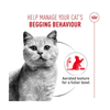 Royal Canin Cat Tin - Appetite Control Airlift(TM) Mousse