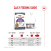 Royal Canin Cat Tin - Appetite Control Airlift(TM) Mousse