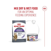Royal Canin Cat Tin - Appetite Control Airlift(TM) Mousse