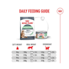 Royal Canin Cat Tin - Digestive Airlift(TM) Mousse