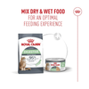 Royal Canin Cat Tin - Digestive Airlift(TM) Mousse