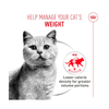 Royal Canin Cat Tin - Light Airlift(TM) Mousse