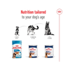Royal Canin - Maxi Ageing - Tin