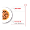 Royal Canin Medium Ageing in Gravy Pouch 140g