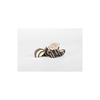 Ruffingtons Artisan Baked Treats - Terrier Truffles